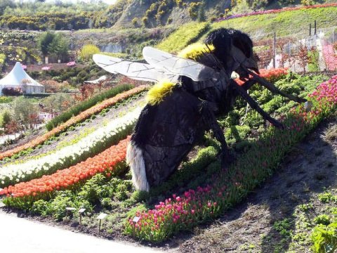Eden Outdoor Biome